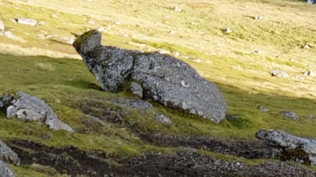 43. Vit hittu hetta Steinskriðdjóri á veg oman