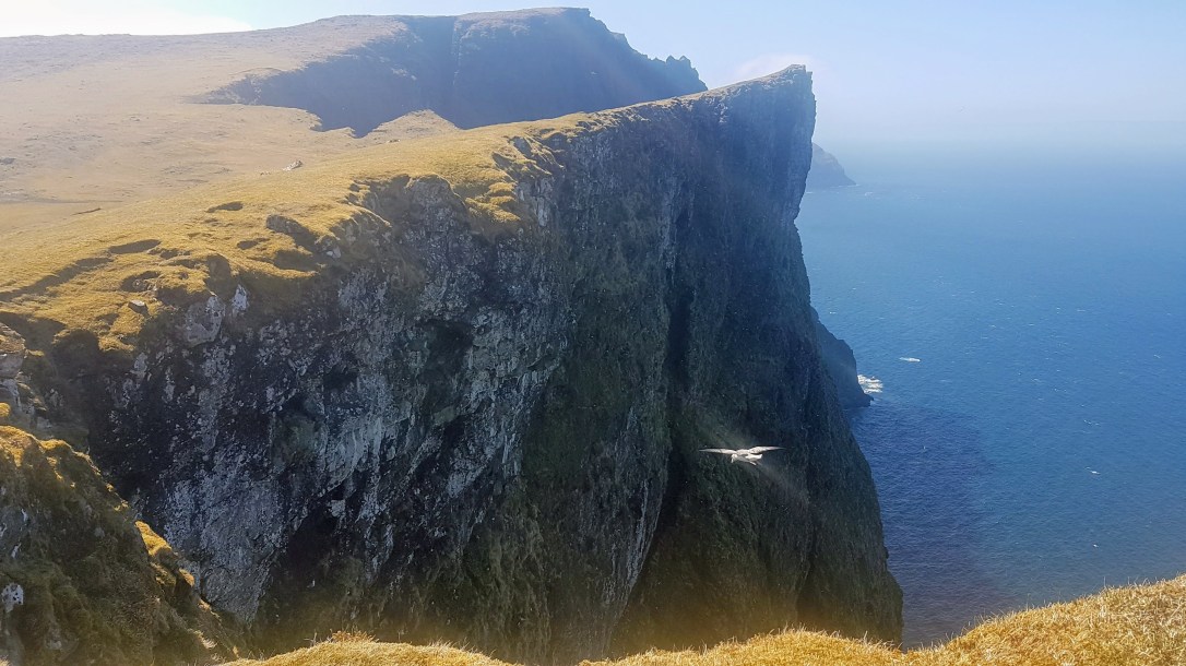 20210526_141937 (2)_FB